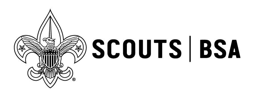 Troop 355