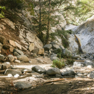 Bear Canyon Intermediate Backpacking